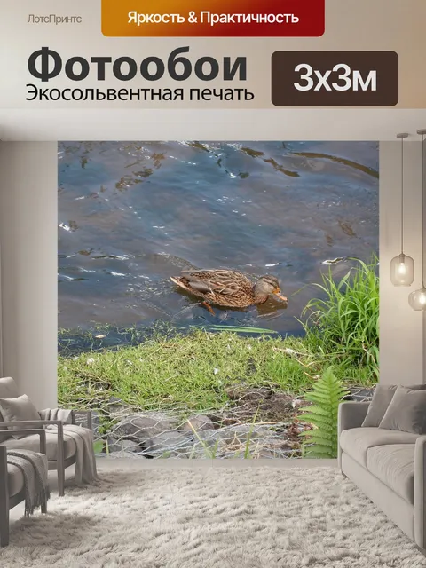 Фотообои Река