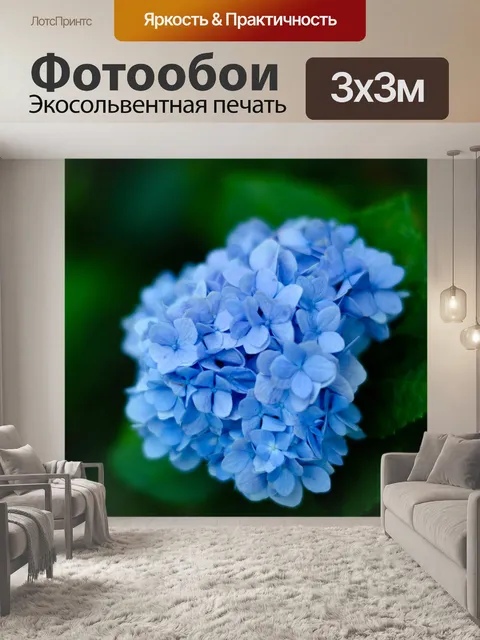 Фотообои Цветы
