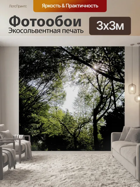 Фотообои кронами деревьев