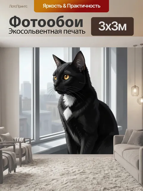 Фотообои Черный кот у окна