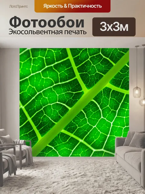 Фотообои Зеленый лист фон