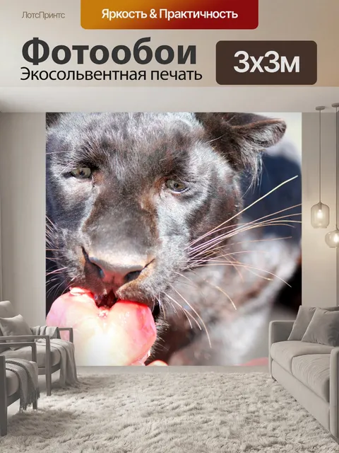 Фотообои Черная пантера питание 2