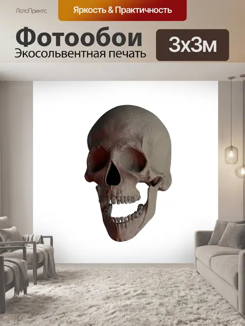 Фотообои Череп