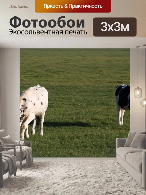 Фотообои Сельскохозяйственное животное
