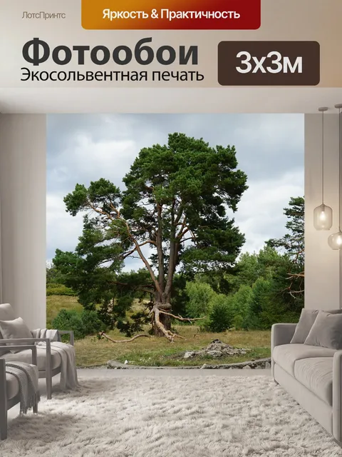 Фотообои Дерево