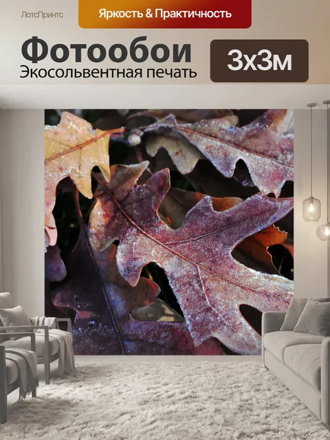 Фотообои Мороз на листьях дуба
