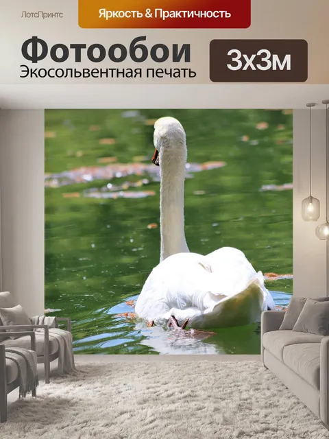 Фотообои Белый лебедь