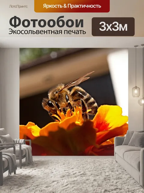 Фотообои Пчела