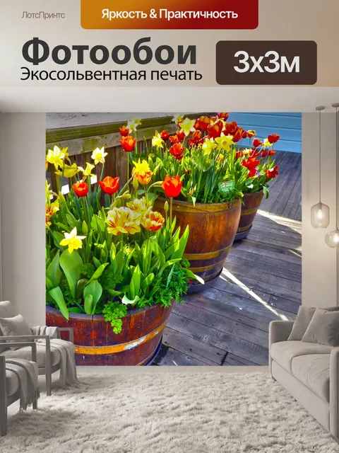Фотообои Бочки тюльпанов