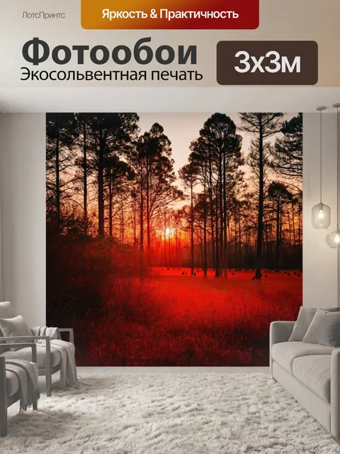 Фотообои закат над лесом, дремлющие деревья в красном свете, птицы возвращаются в гнезда, на земле мягкая…