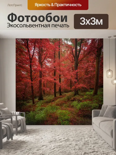 Фотообои древний лес с красными дубами, загадочные шепоты вереска, атмосферная тишина