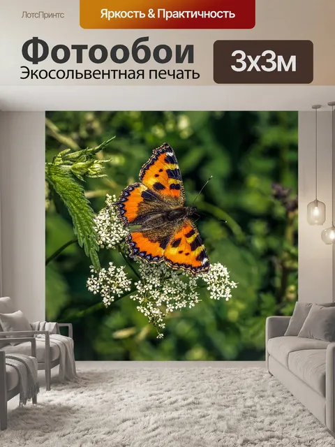 Фотообои Маленькая лиса