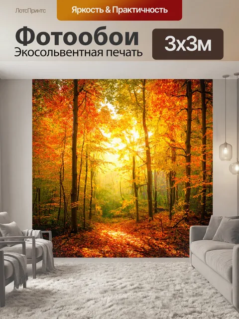Фотообои наполненный яркими осенними листьями, свет солнечного дня пробивается сквозь деревья