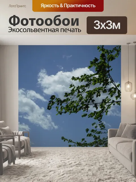 Фотообои Небо