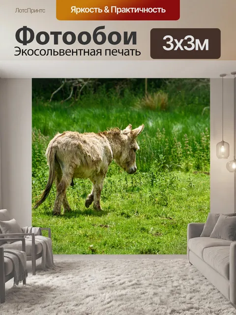 Фотообои Осел на лугу