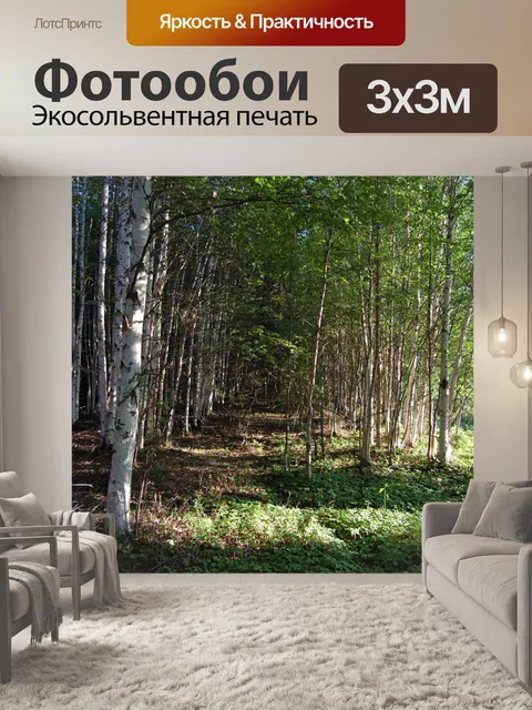 Фотообои аллее берез