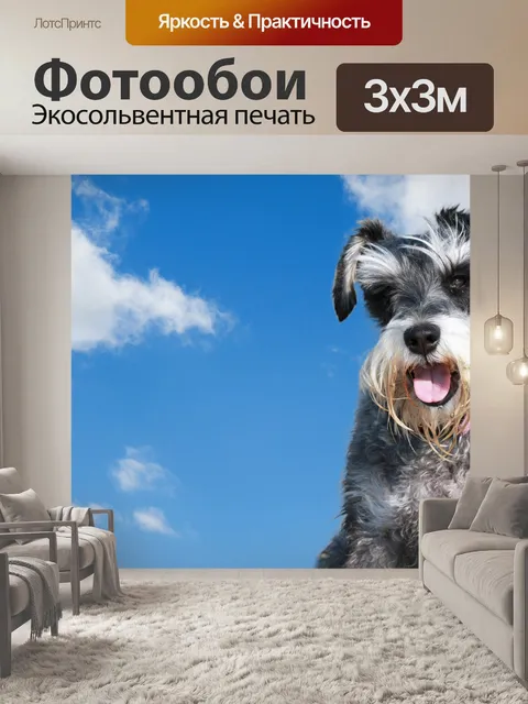 Фотообои Собака, шнауцер