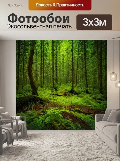 Фотообои лес с антуражем спокойствия и гармонии