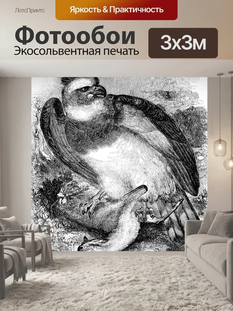 Фотообои Гарпия Орел