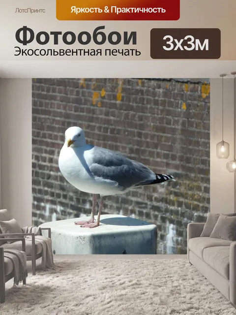 Фотообои Уникальный Чайка сидит на столбе