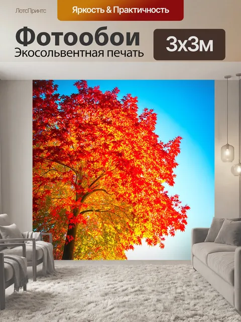 Фотообои осеннее дерево с ярко-красными и оранжевыми листьями, простирающееся к небу