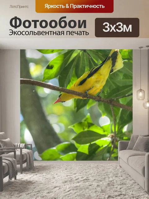 Фотообои Желтая птица