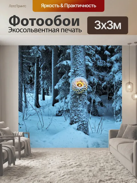 Фотообои В лесу