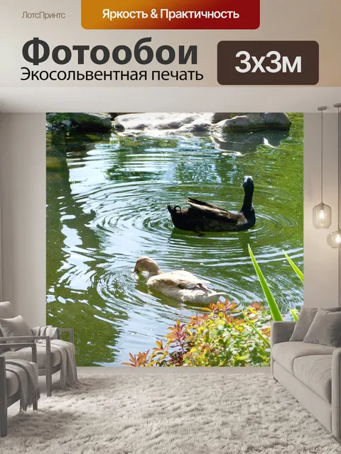 Фотообои Индийские бегущие утки