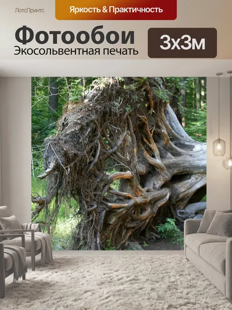 Фотообои Корень