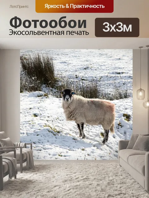 Фотообои Овцы в снегу