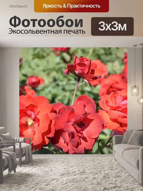 Фотообои Красные розы