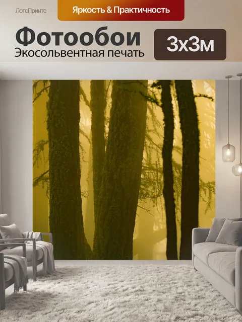 Фотообои Лес