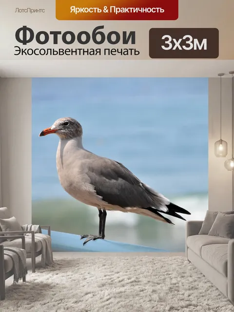 Фотообои Чайка на пирс