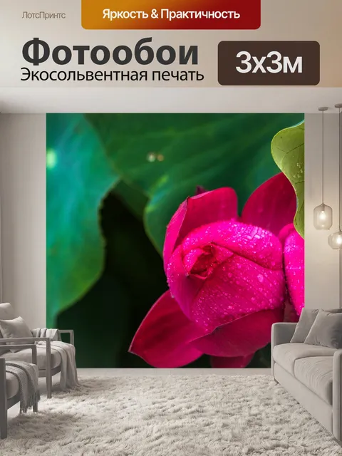 Фотообои Дождь