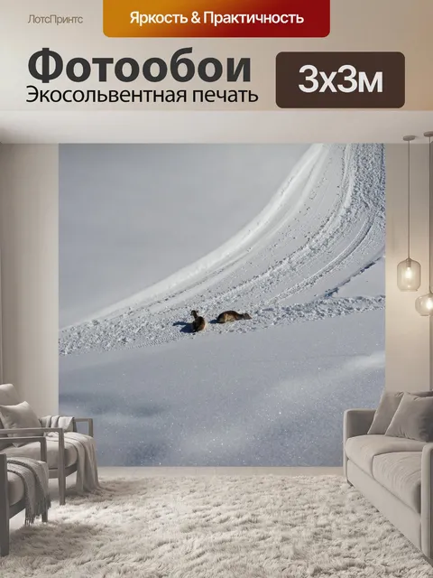 Фотообои Снег