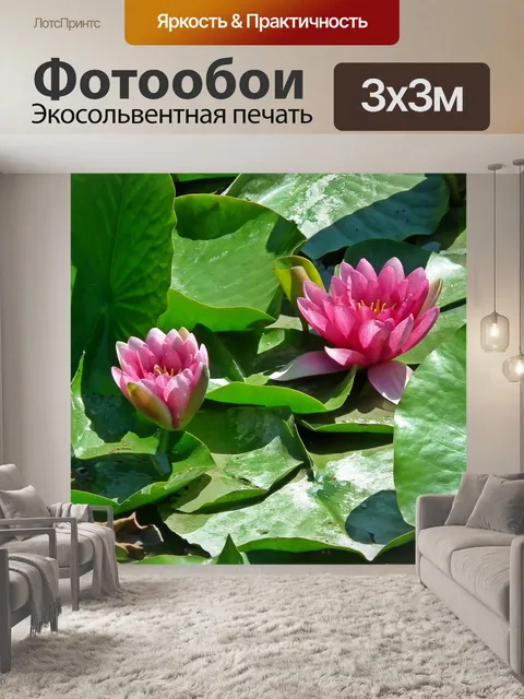 Фотообои Водяные лилии