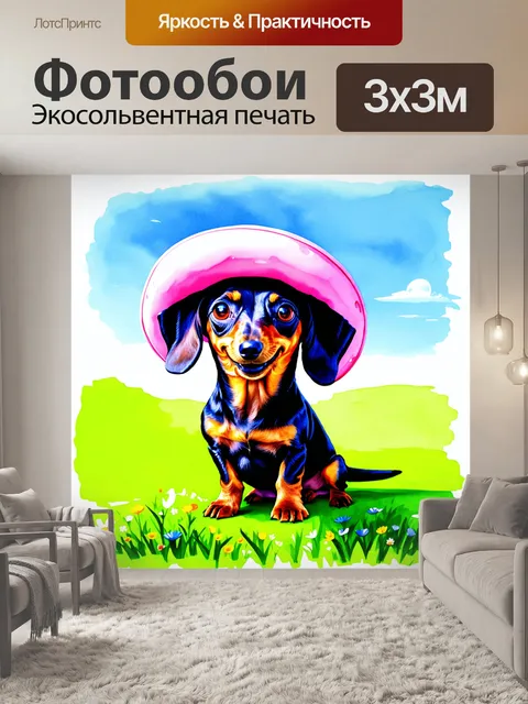 Фотообои забавная такса с гигантской шляпой