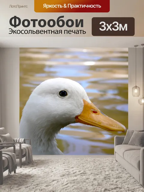 Фотообои Белая утка закрыть