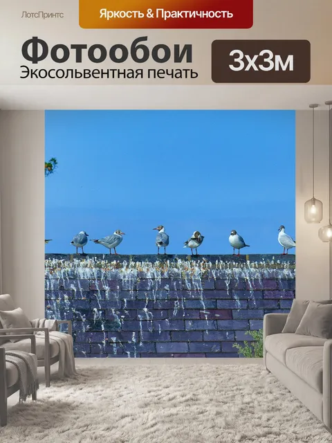 Фотообои Seagulls