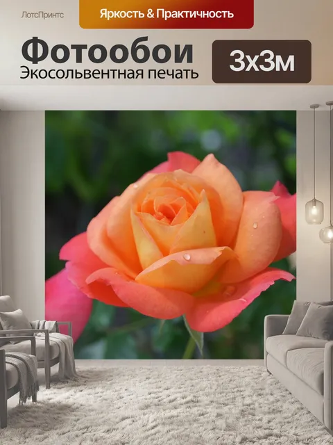 Фотообои Карта