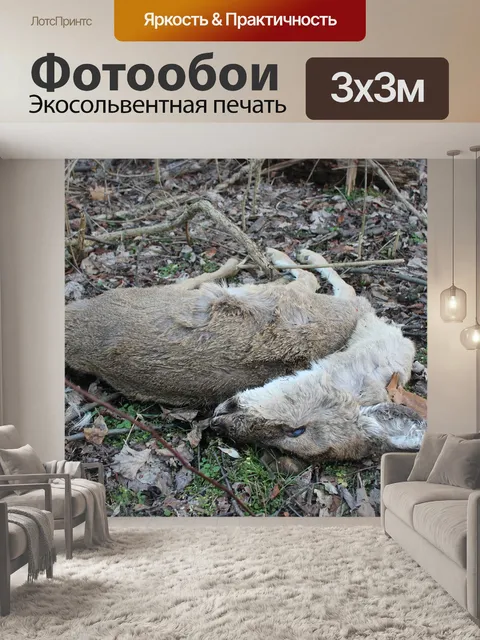 Фотообои Олень