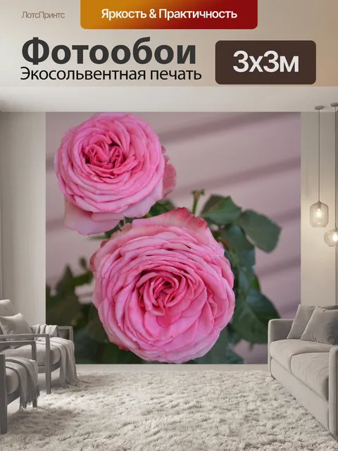 Фотообои Розы