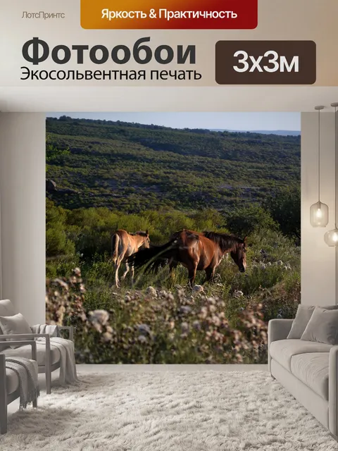 Фотообои Лошади
