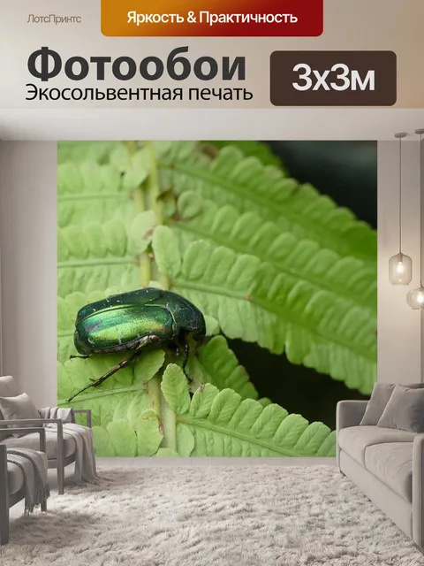 Фотообои Жук-роза
