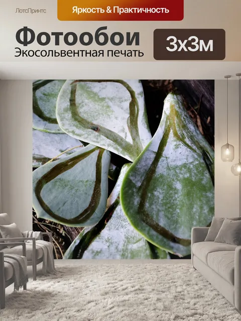 Фотообои Листья