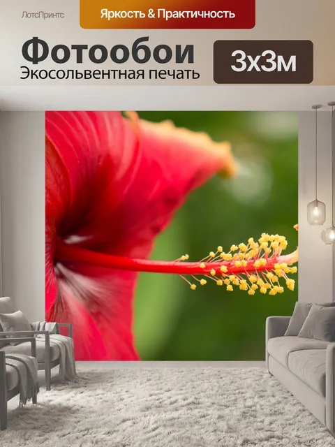 Фотообои Сад бабочек бенальмадена
