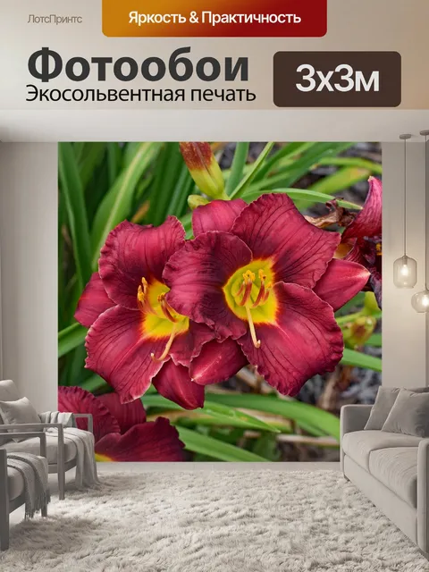 Фотообои Красно-оранжевый и желтый лилейник
