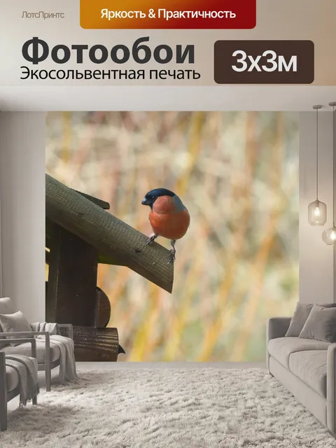 Фотообои Снегирь