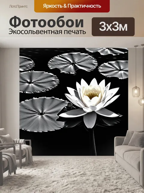 Фотообои черно-белый с изображением расцветающих цветов лотоса на спокойной поверхности пруда