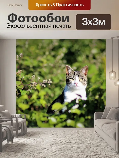 Фотообои Кот на дереве